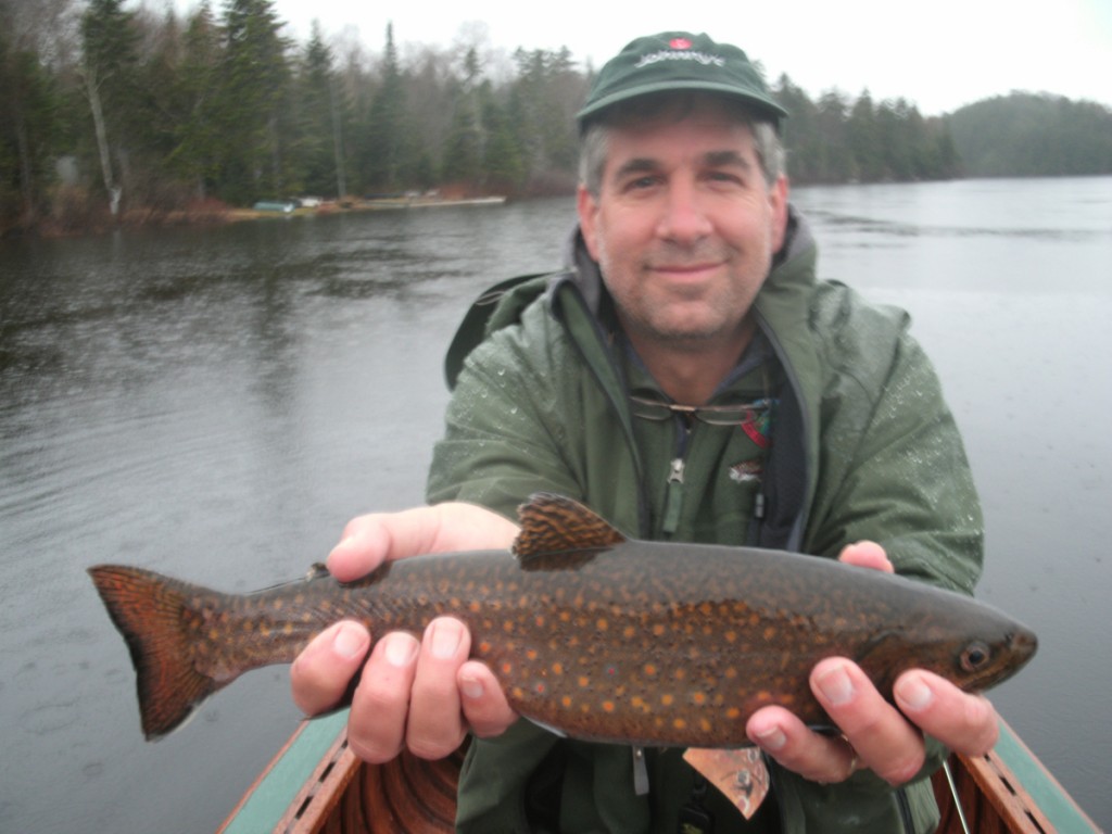 Brook trout