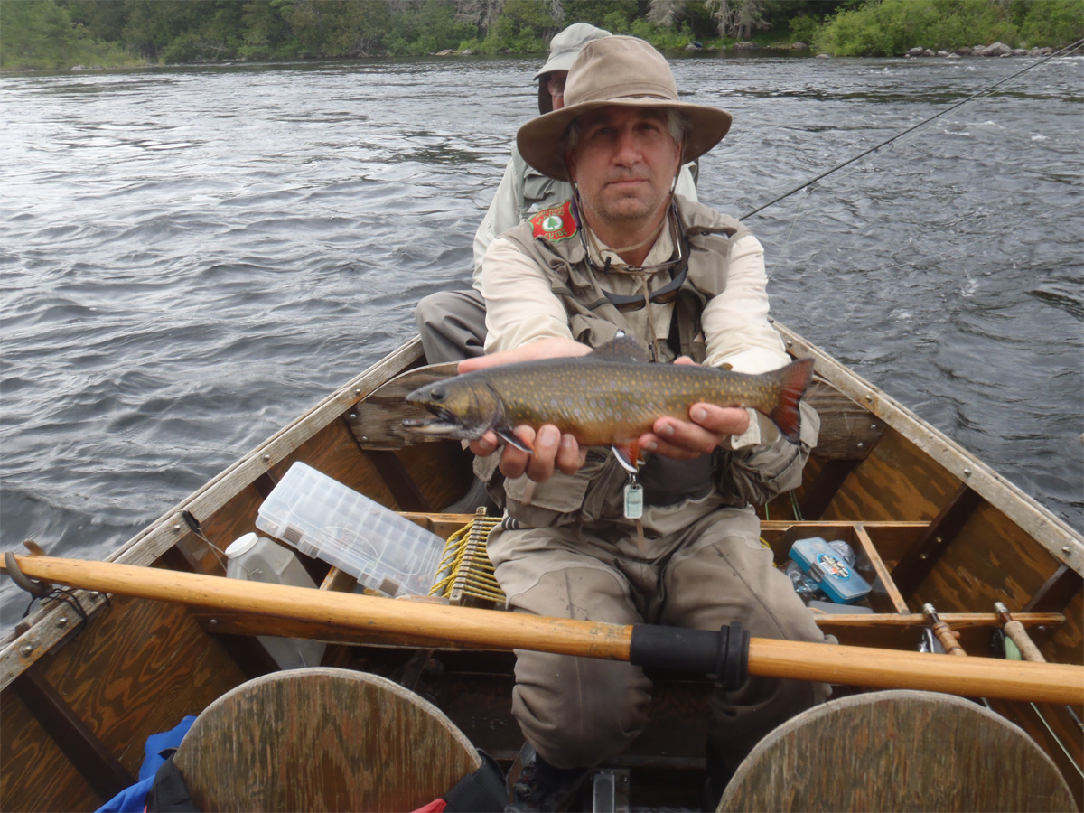 Rapid River Brook Trout