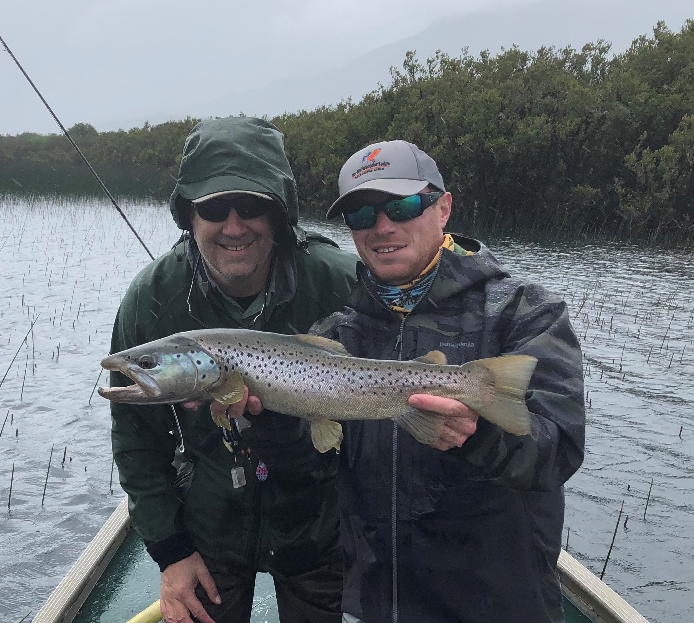 Lake fish has a bluish-silvery sheen