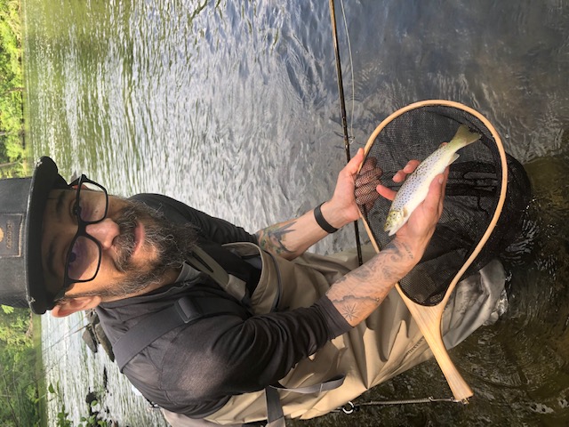 Brook trout  Mainely Fly Fishing Blog